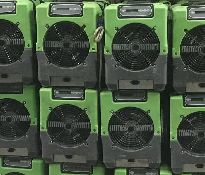 green dehumidifiers