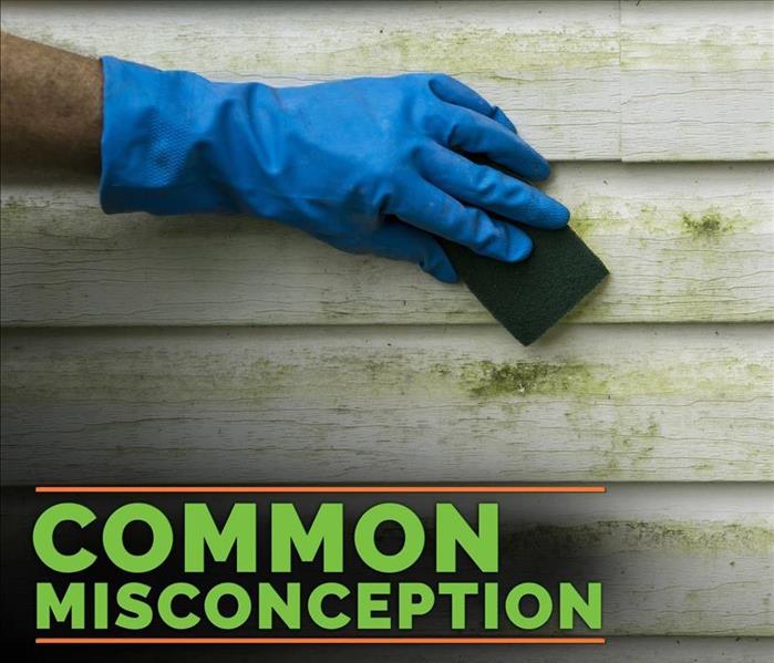 mold misconception